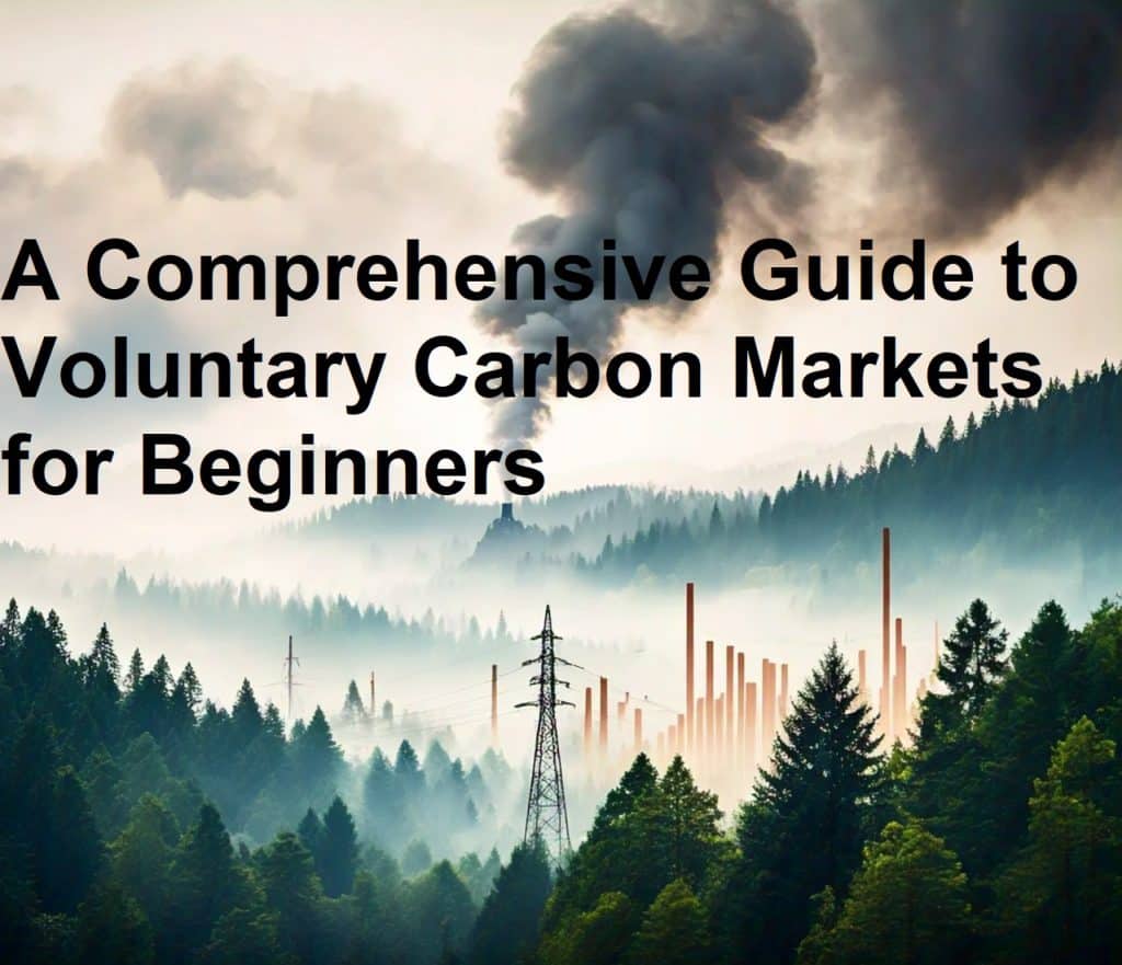 Understanding the Voluntary Carbon Market: A Step-by-Step Guide